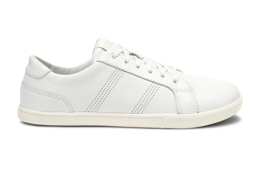 dillon leather sneakers - men