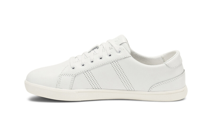 dillon leather sneakers - women